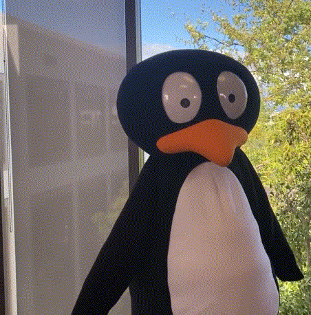 JiJi-wave.gif