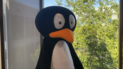 JiJi-macarena.gif