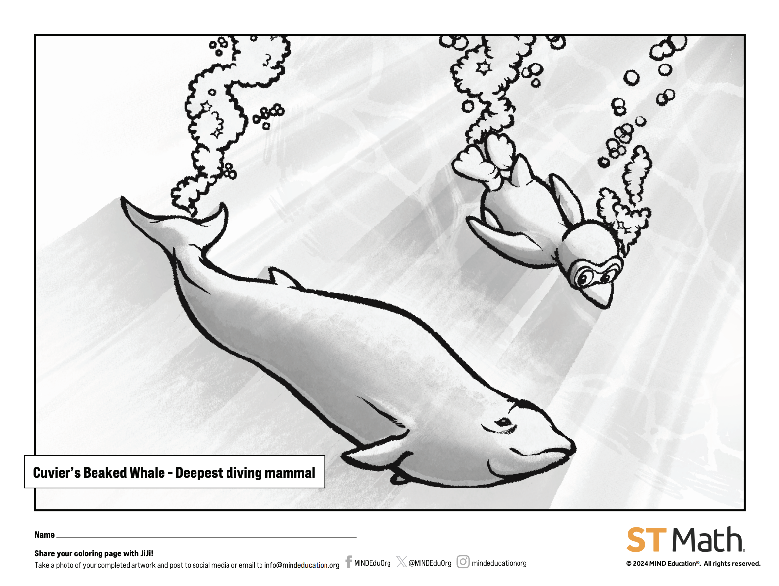 Cuvier's Beaked Whale.png