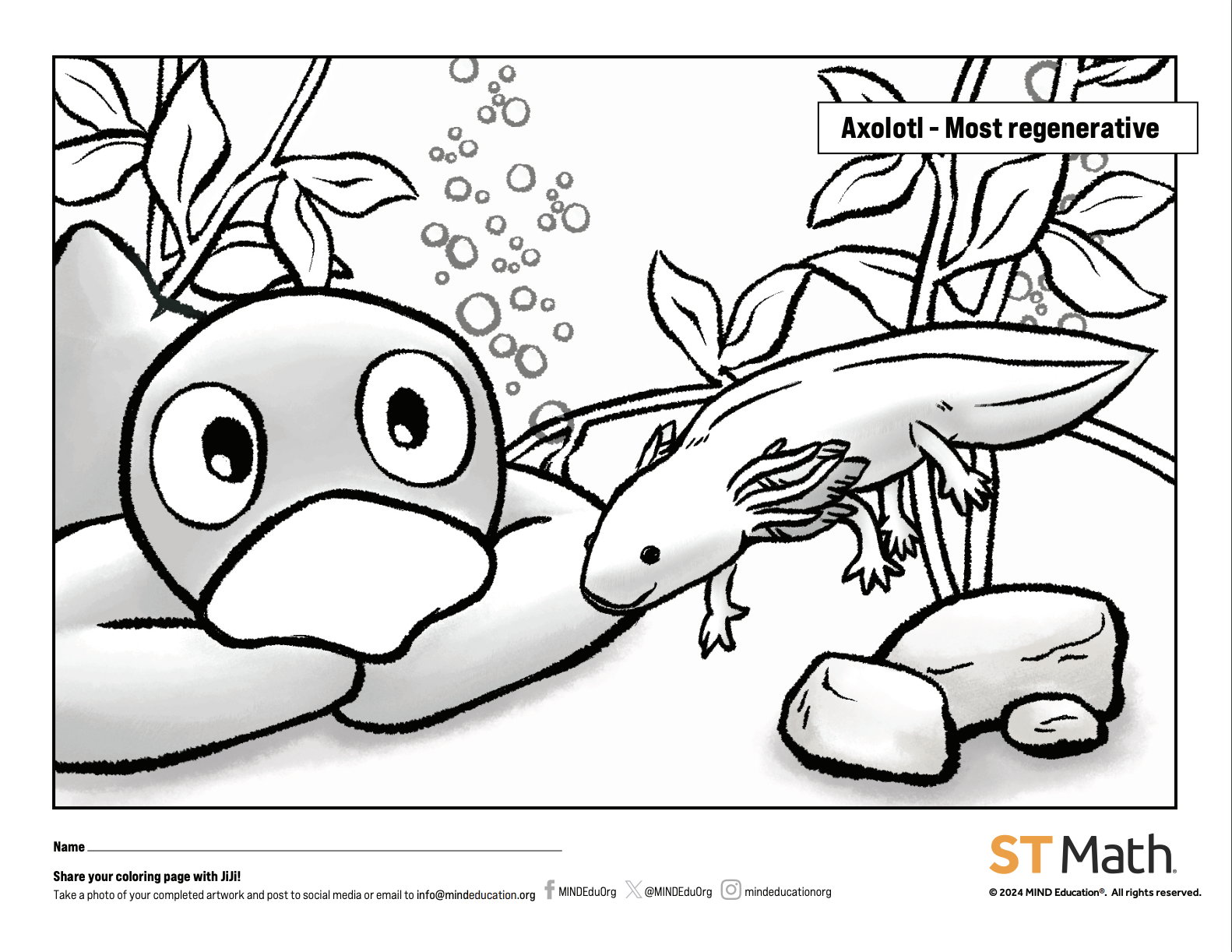 Axolotl.png